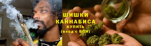 ПСИЛОЦИБИНОВЫЕ ГРИБЫ Баксан