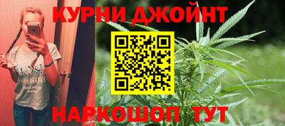 шишки Кимры