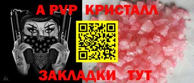 шишки Кимры