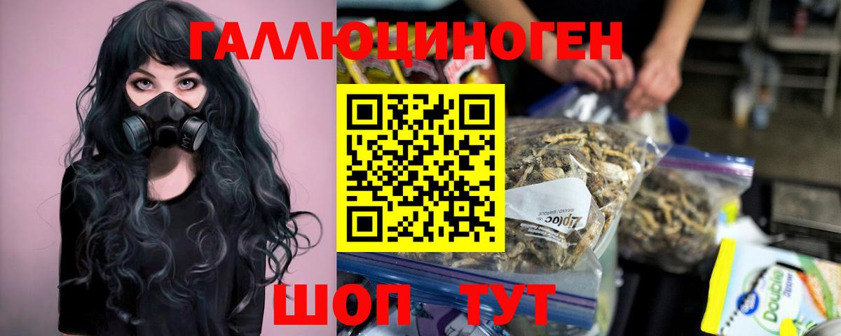Псилоцибиновые грибы прущие грибы  Вход с VPN  Каспийск  Галлюциногенные грибы GOLDEN TEACHER 